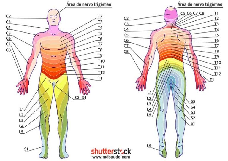 Neuralgia P S Herp Tica O Que Sintomas E Tratamento