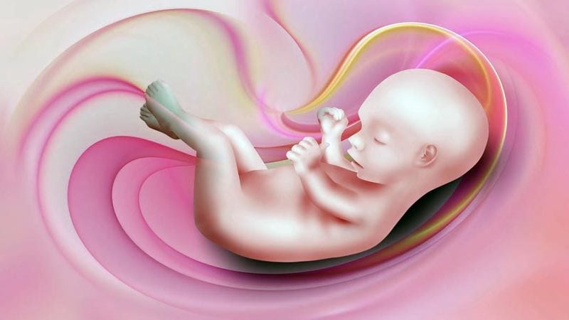 Descolamento Prematuro Da Placenta Sintomas E Tratamento Md Sa De