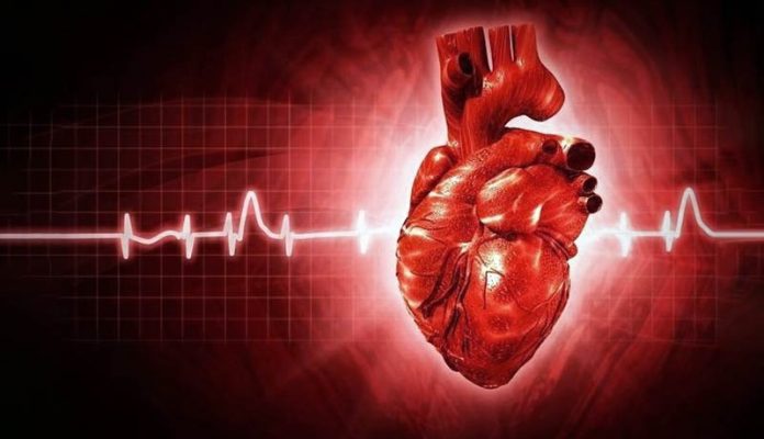 fibrilacao-atrial-imagem Fibrilação atrial