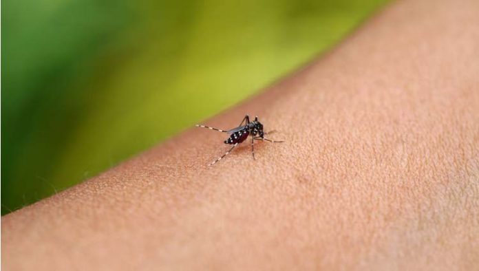 sintomas-dengue Sintomas da dengue
