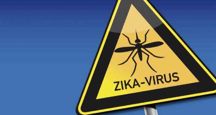 zika Vírus Zika