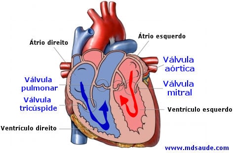 Prolapso válvula mitral