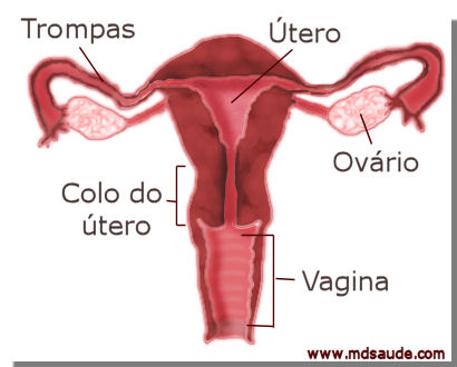 Menstruação atrasada: O que pode ser? – Blog Femme