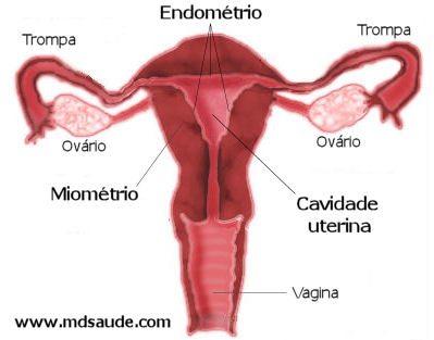 Menstruação com pedaços de sangue é normal?  Qual a quantidade normal de  fluxo menstrual? As 4 principais causas de menstruação com coágulos O que  piora o fluxo menstrual? O que é