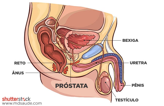 Quais são os 10 primeiros Sintomas de Problemas na Próstata?