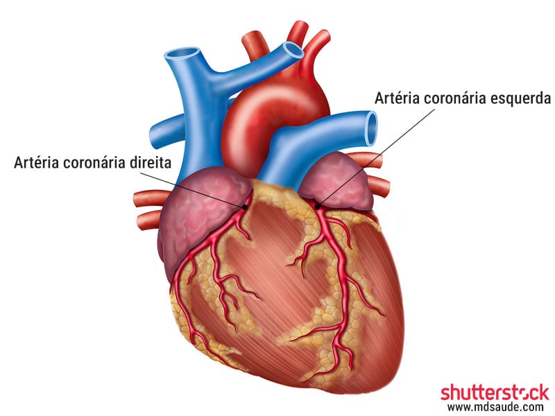 Arterias coronárias