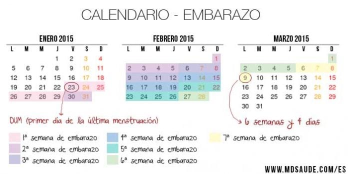 Calculadora Y Calendario Del Embarazo Mdsaúde 