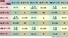 Grupos Sanguíneos: Sistema AB0, Factor Rh Y Compatibilidad