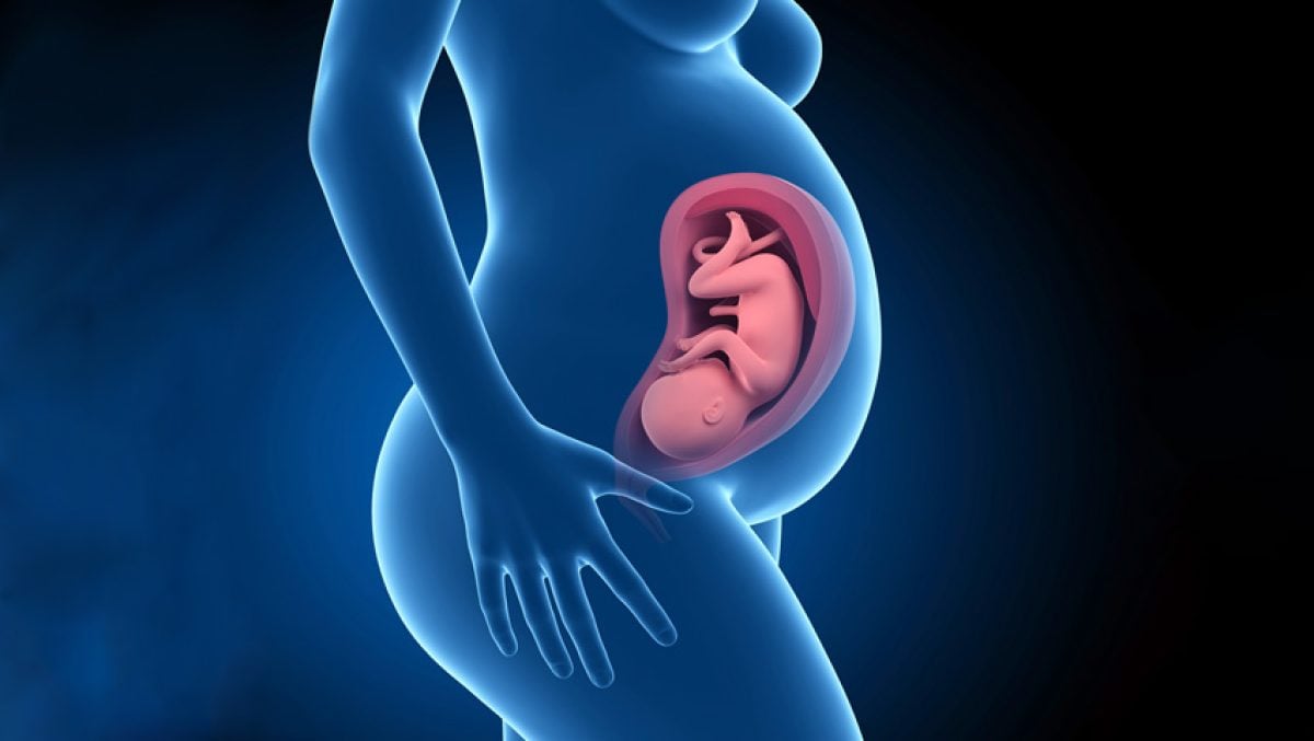 Sintomas de gravidez: descubra se você está esperando um bebê