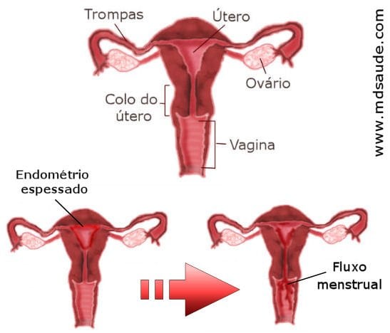 Menstruação com pedaços de sangue é normal?  Qual a quantidade normal de  fluxo menstrual? As 4 principais causas de menstruação com coágulos O que  piora o fluxo menstrual? O que é