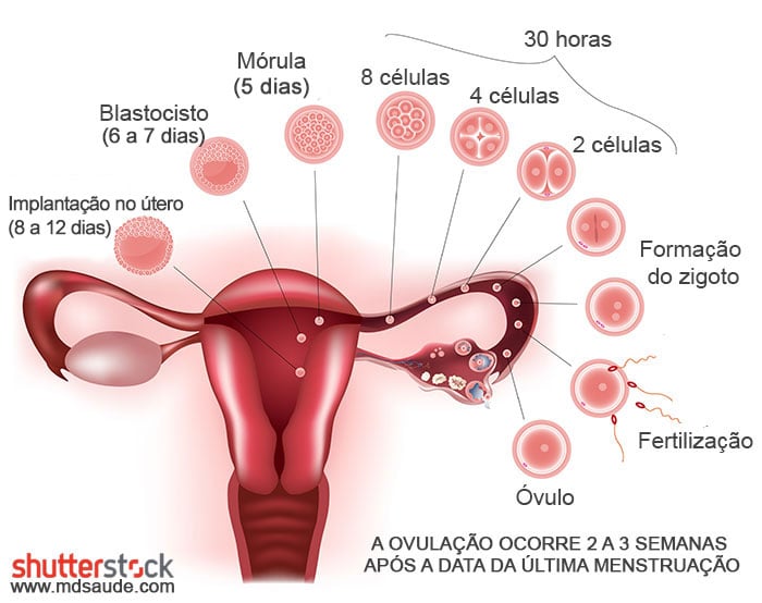 Menstruação atrasada? Conheça outros sintomas da gravidez