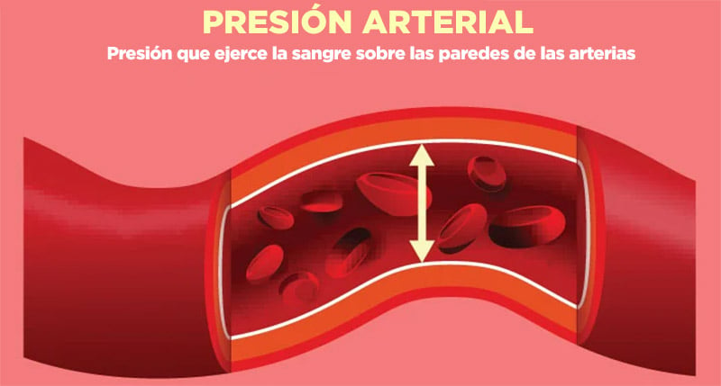 ¿cuáles Son Los Valores Normales De La Presión Arterial Mdsaúdeemk 8380