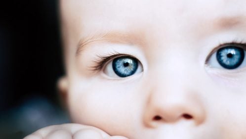 6 principais causas do terçol no olho - Por que ele aparece?